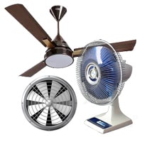 Fan