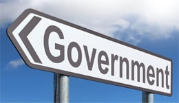 government