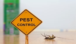 pest_control